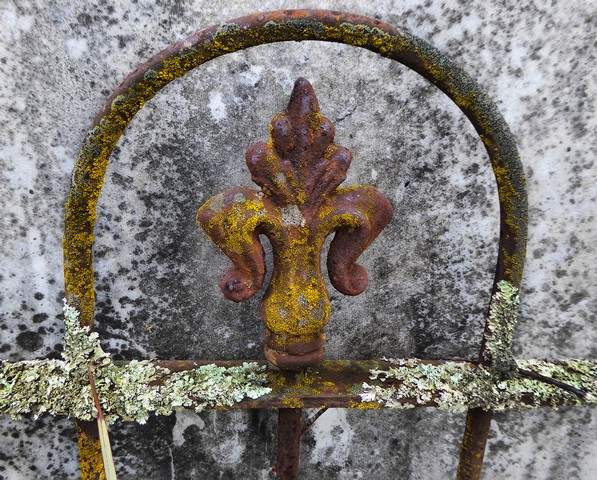 The GaurdianPhotography by Sharon Alston